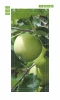 Apple tree door wallpaper P469 - Graphic design featuring green apples on a branch with leaves.