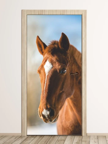 Horse Door Mural P502 - Graphic design featuring a brown horse head with a white patch on its forehead.