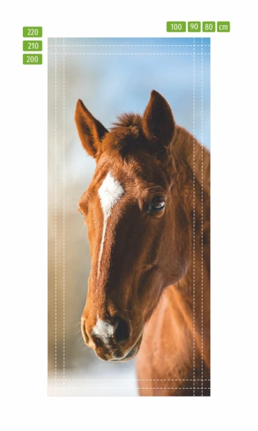 Door wallpaper Horse P502 - Graphic design featuring a brown horse\'s head with a white patch on its forehead.