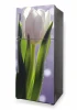 Fridge wrap sticker with tulips P632 - A large white tulip on a purple gradient background.