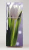 Refrigerator wrap sticker tulips P632 - Graphic design featuring a white tulip on a purple background with green accents.
