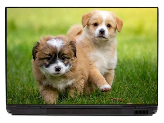 Laptop sticker with small dogs P503 - Graphic design featuring two small dogs on green grass, one with white and brown fur.