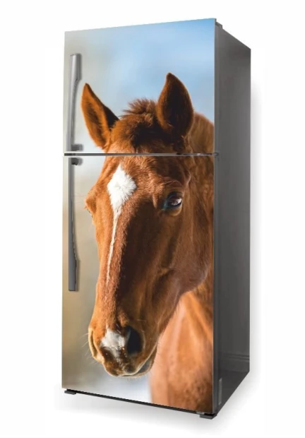 Fridge wrap sticker Horse P502 - Graphic design featuring a horse\'s head in natural shades of brown.