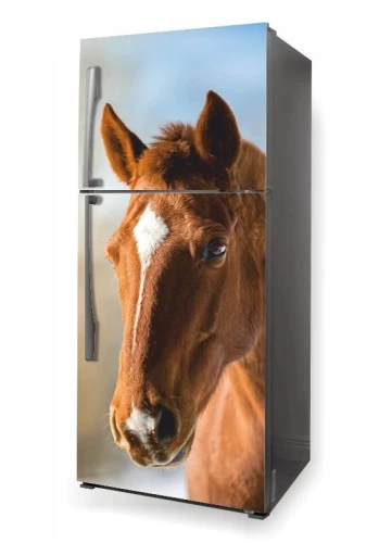 Wallpaper For Fridge Horse P502