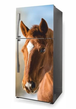 Fridge wrap sticker Horse P502 - Graphic design featuring a horse\'s head in natural shades of brown.