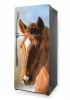 Fridge wrap sticker Horse P502 - Graphic design featuring a horse\'s head in natural shades of brown.