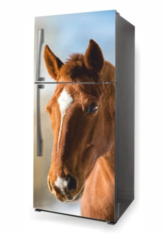 Fridge wrap sticker Horse P502 - Graphic design featuring a horse\'s head in natural shades of brown.