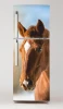 Fridge wrap sticker Horse P502 - Graphic design featuring a brown horse head with a white patch.