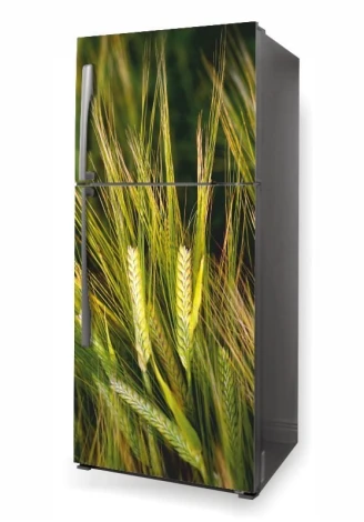Fridge wrap sticker P511 - Graphic design featuring grains in green and yellow shades.