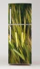 Refrigerator wrap sticker P511 - Graphic design featuring grains in green and gold shades with distinct ears.
