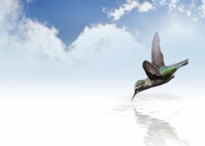 Dry-erase magnetic board Bird 211 - Graphic design featuring a colorful bird flying over water with a blue sky and clouds.