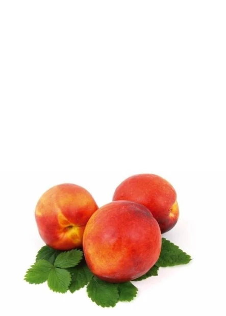 Magnetic dry-erase board featuring three peaches on green leaves against a white background.