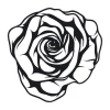 Rose sticker 2043 - Graphic design featuring a black rose with clear outlines and detailed petals.