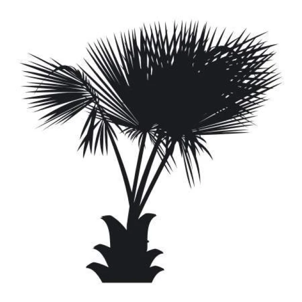Palm sticker 2042 - Graphic design featuring a black palm with broad leaves and a distinct trunk.