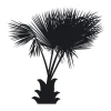 Palm sticker 2042 - Graphic design featuring a black palm with broad leaves and a distinct trunk.