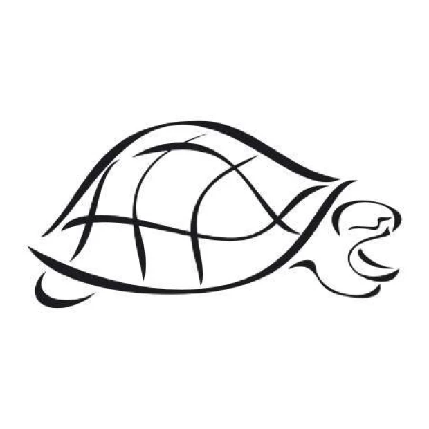 Turtle sticker 1999 - Minimalist design featuring a turtle with outlines.
