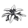Flower sticker 2046 - Graphic design. Flower with large petals, clear contours, and detailed leaves.