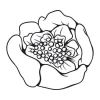 Flower sticker 2081 - Graphic design. Round flower with delicate petals and a central cluster of small details.