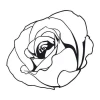 Rose flower sticker 2079 - Graphic design. Black rose illustration on a white background with visible petal details.