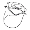 Rose bud sticker 2080 - Graphic design featuring a rose with clear outlines and detailed petals.