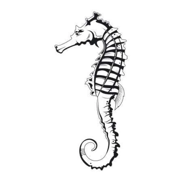 Seahorse wall sticker 2108 - Graphic design featuring a black and white seahorse with clear details.
