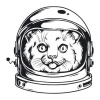 Wall sticker cat 2086 - Graphic design of a cat in an astronaut helmet with clear eyes and a smile.