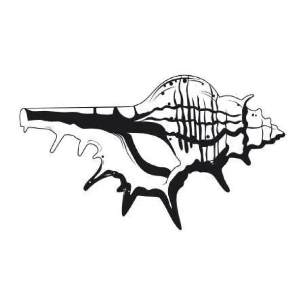 Wall sticker shell 2106 - Graphic design. Elongated shell shape with clear lines and serrated edges.