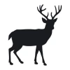 Deer sticker 2135 - Graphic design. Silhouette of a deer with distinct antlers and legs.