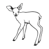 Deer sticker 2138 - Graphic design featuring a standing deer with large ears in outline form.