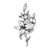 Flower sticker 2148 - Graphic design. Black and white flowers with long stems and leaves.