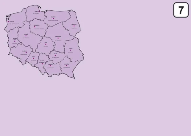 Magnetic dry-erase board of Poland with regional divisions, 240 - Graphic design. Clear map of Poland.