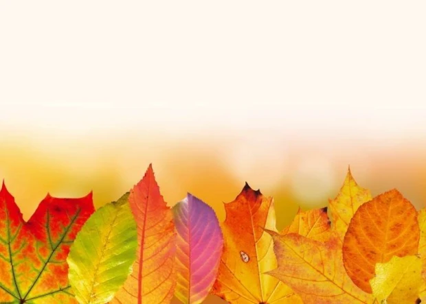 Magnetic dry-erase board with autumn leaves design in shades of yellow, orange, and red.