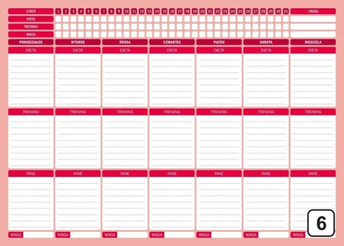 Fitness training planner whiteboard 258 - Graphic design. Rectangular sections for days, diet, and workouts.