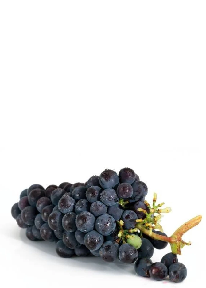 Magnetic dry-erase board for the kitchen featuring a grape design in shades of purple and green.