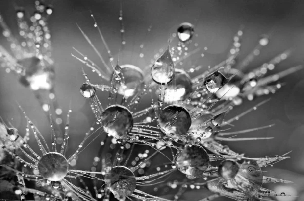Wall mural with colorful water droplets FP 23 - Graphic design featuring droplets in various sizes on a soft background.