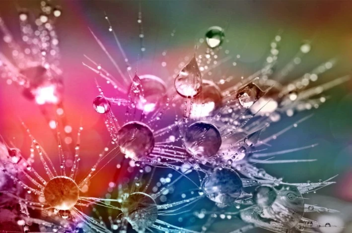Colorful water droplets wallpaper FP 23 - Graphic design with various colored droplets on a background.