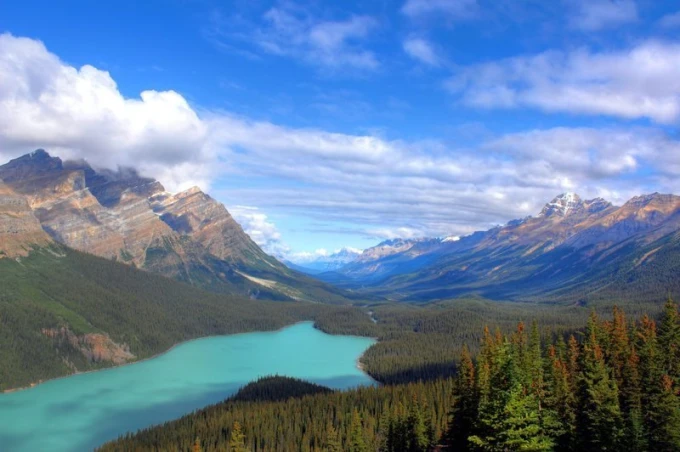 Blue lake wall mural in a mountain valley FP 1424 - Graphic design featuring a lake surrounded by mountains and forest.