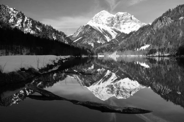 Charming snow-capped mountains wall mural FP 1430 - Graphic design with a mountain reflected in water, surrounded by forest.