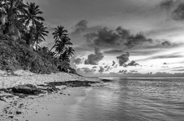 Tropical island wall mural FP 1523 - Graphic design featuring beach, palm trees, and clouds against a water backdrop.