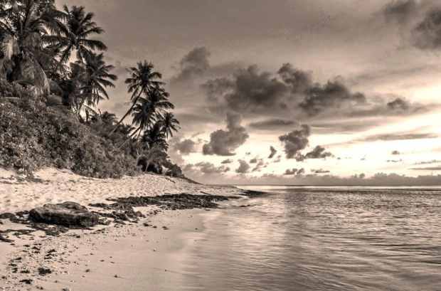 Tropical island wall mural FP 1523 - Graphic design featuring a beach with palm trees, sea, and clouds in the sky.