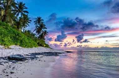 Tropical island wall mural FP 1523 - Graphic design featuring a beach with palm trees, rocks, and water in vibrant colors.