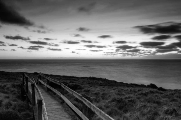 Wall mural of a walkway along the ocean FP 1718 - Graphic design. The path leads to the sea, surrounded by grass.