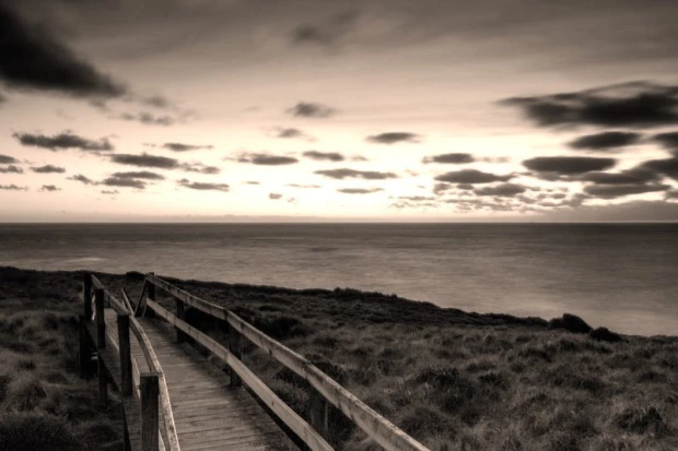 Wall mural of a walkway along the ocean FP 1718 - Graphic design. The path leads to the sea, surrounded by grass.