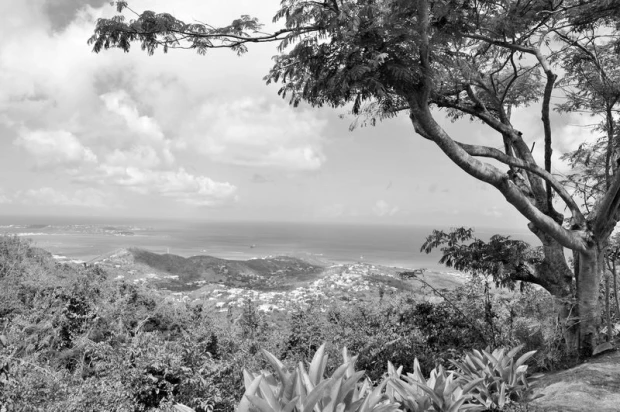 Wall mural of a sea view from a mountain top FP 1720 - Graphic design featuring sea, mountains, clouds, and trees.