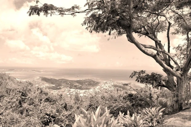 Wall mural of a sea view from a mountain top, featuring trees and hills in the background. Design FP 1720.