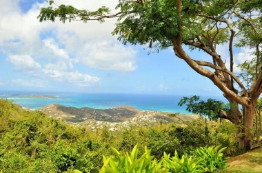 Wall mural of a sea view from a mountain peak FP 1720 - Graphic design. Green trees, cloudy sky, sea.
