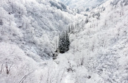 Wallpaper Winter Fp 1777