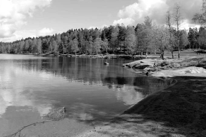 Wall mural nature in Oslo FP 1793 - Graphic design. View of a lake surrounded by trees and rocks.