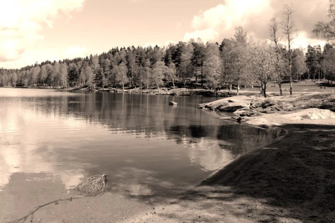 Wall mural nature in Oslo FP 1793 - Graphic design. View of a lake surrounded by trees and rocks.