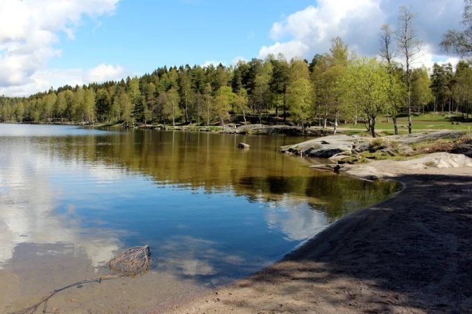 Wall mural nature in Oslo FP 1793 - Graphic design featuring a lake surrounded by trees and rocks, with reflections.